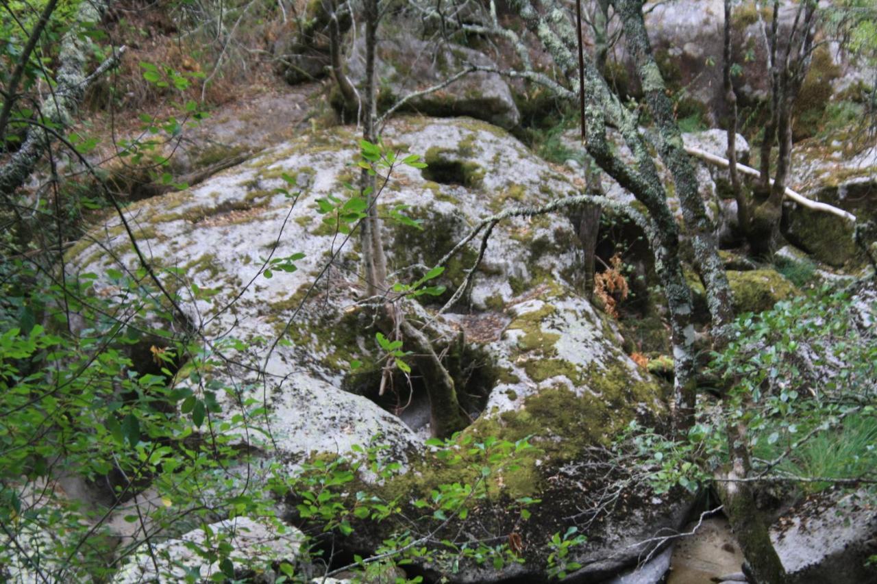Retiro Da Arminda Canedo (Porto) Exterior foto